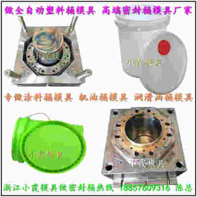 食品級(jí)塑料化工桶模具 設(shè)計(jì)與制造的關(guān)鍵考量